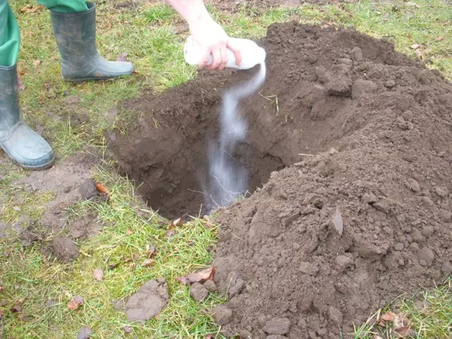 kártevők elleni védelem