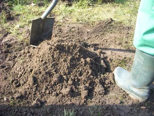 őszi ültetésnél felkupacolás