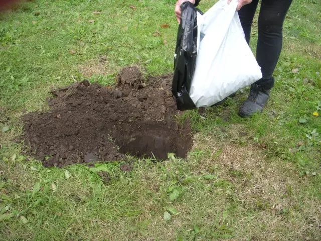 szerves trágya, mint tápanyag