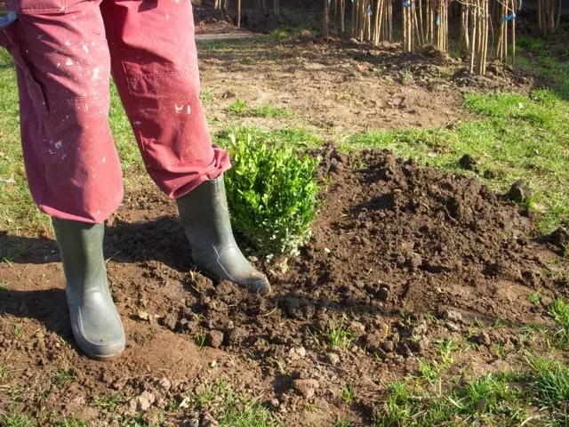 talaj tömörítése