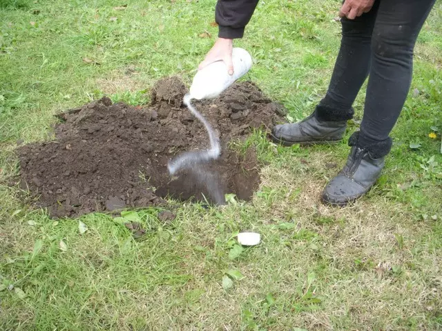 talajfertőtlenítő alkalmazása