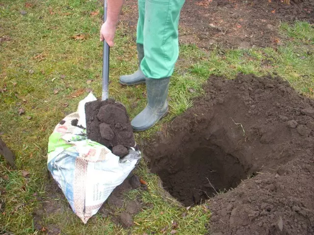 talajjavítás szerves trágyával