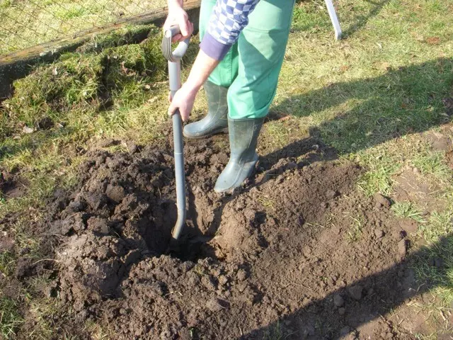 ültetőgödör készítése