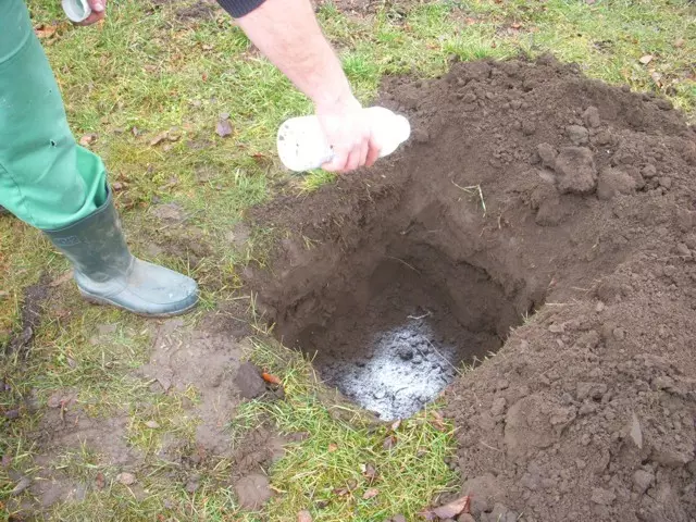 védekezés talajfertőtlenítéssel